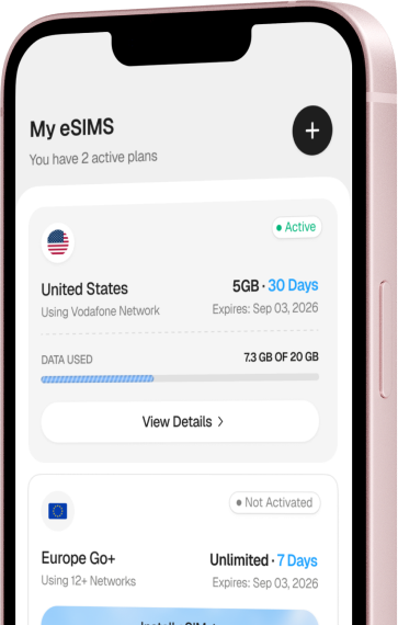 Portofly app on a phone